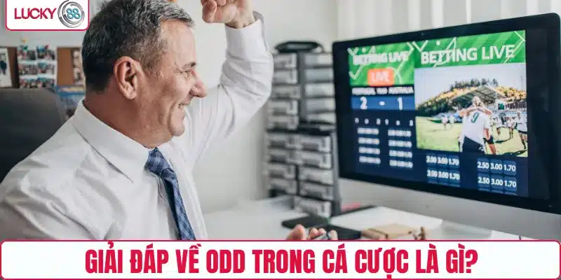 Giải đáp về Odd trong cá cược là gì?